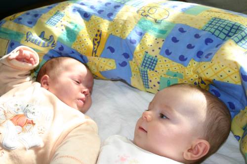 115IMG_0202.JPG