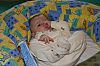 IMG_0281.JPG