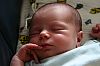 111IMG_0155.JPG
