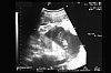 131-25.4.2005.jpg