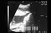 132-25.4.2005.jpg